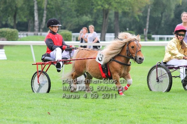 IMG 0008 600x400 prot