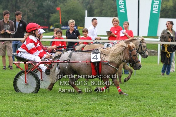 IMG 0013 600x400 prot