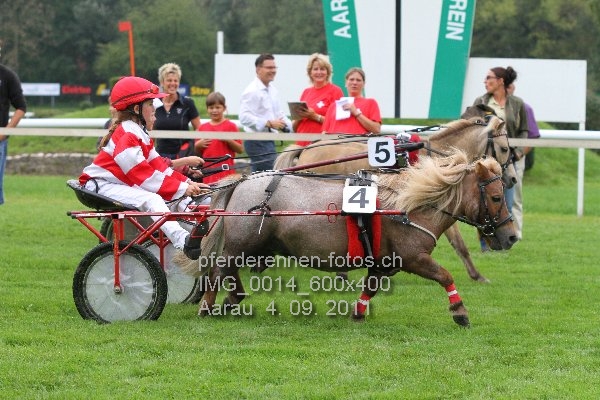 IMG 0014 600x400 prot