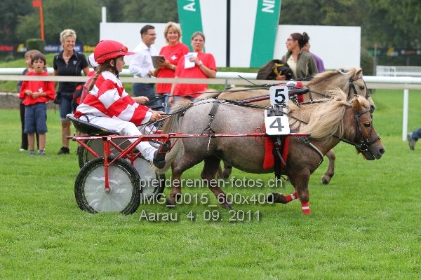 IMG 0015 600x400 prot