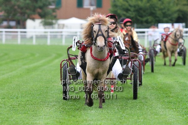 IMG 0021 600x400 prot