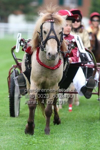 IMG 0023 600x400 prot