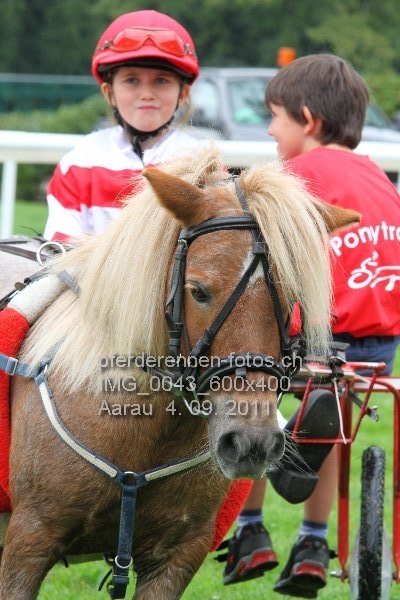 IMG 0043 600x400 prot