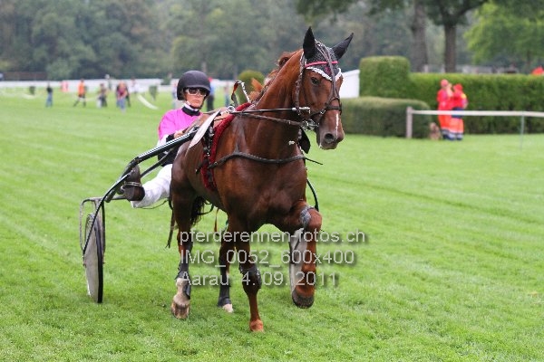 IMG 0052 600x400 prot