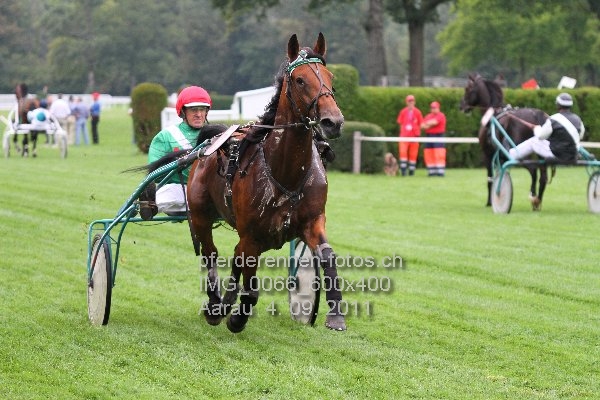 IMG 0066 600x400 prot