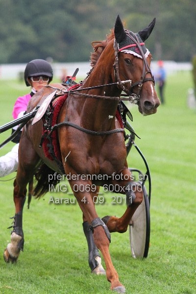 IMG 0069 600x400 prot