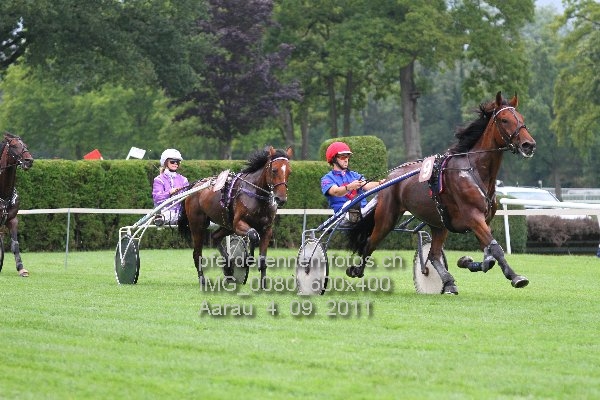IMG 0080 600x400 prot