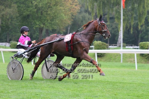 IMG 0083 600x400 prot