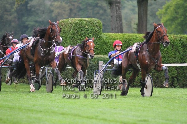 IMG 0087 600x400 prot