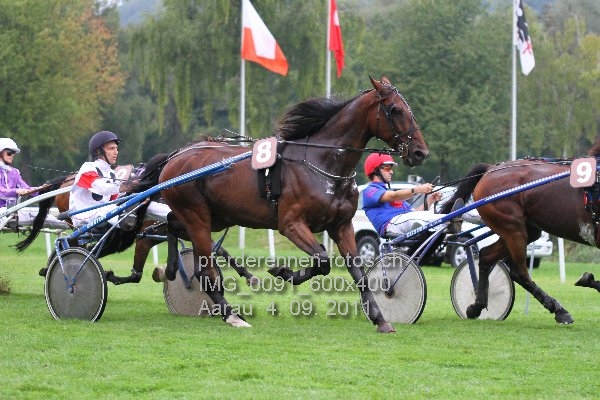 IMG 0091 600x400 prot