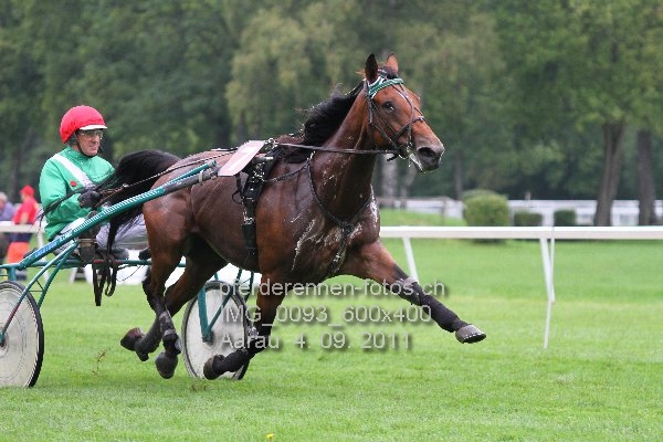 IMG 0093 600x400 prot