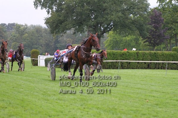 IMG 0100 600x400 prot