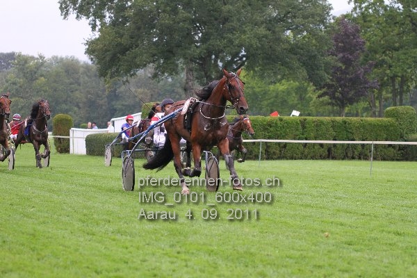IMG 0101 600x400 prot
