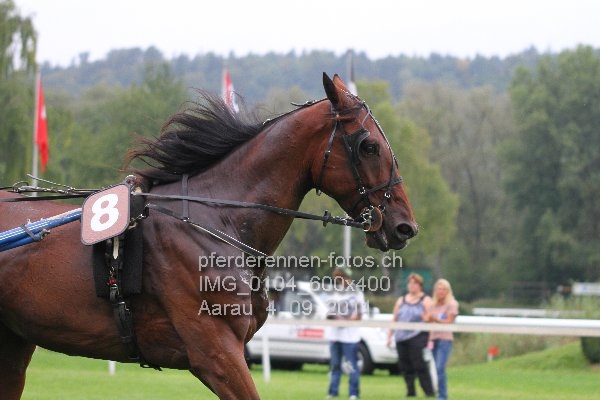 IMG 0104 600x400 prot