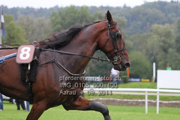 IMG 0105 600x400 prot