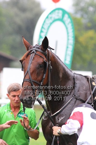IMG 0113 600x400 prot