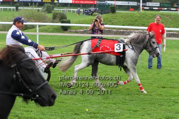 IMG 0124 600x400 prot