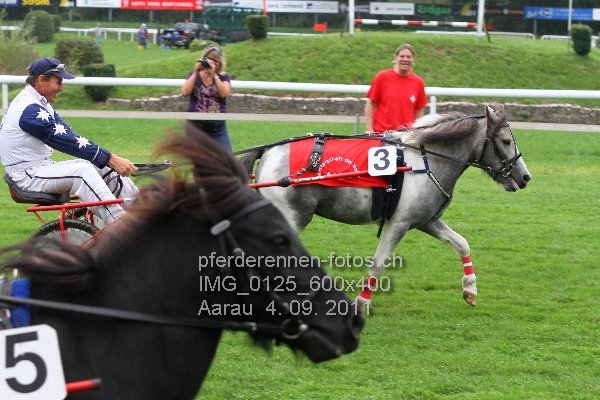 IMG 0125 600x400 prot