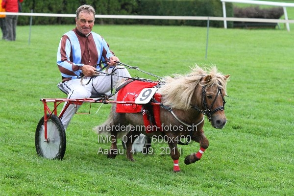 IMG 0127 600x400 prot