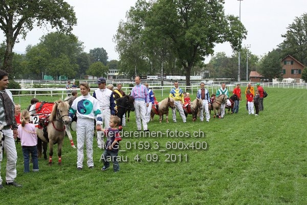 IMG 0159.3 600x400 prot