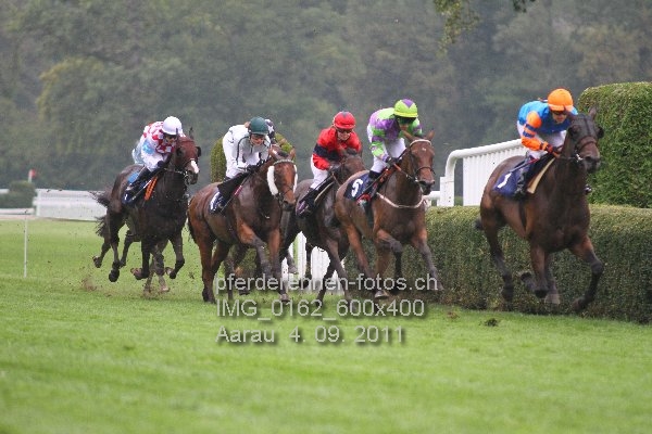 IMG 0162 600x400 prot
