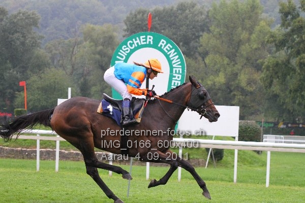 IMG 0166 600x400 prot