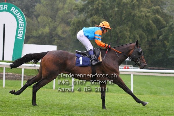 IMG 0167 600x400 prot
