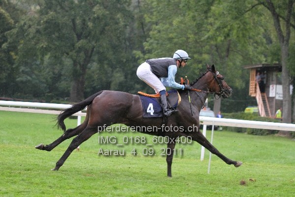 IMG 0168 600x400 prot