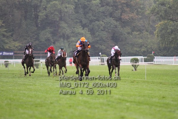 IMG 0172 600x400 prot