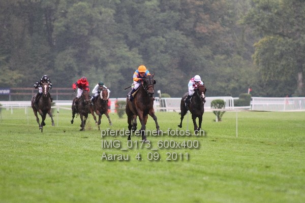 IMG 0173 600x400 prot