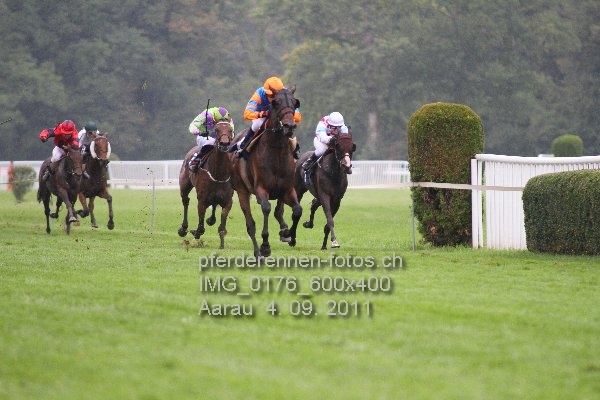 IMG 0176 600x400 prot