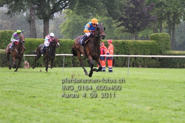 IMG 0184 600x400 prot