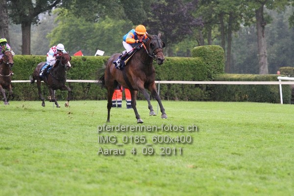 IMG 0185 600x400 prot