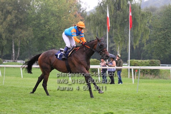 IMG 0189 600x400 prot