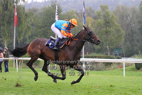 IMG 0191 600x400 prot