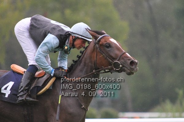 IMG 0198 600x400 prot