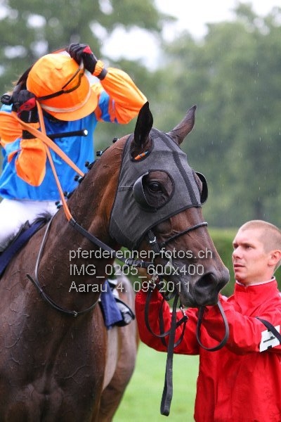 IMG 0205 600x400 prot