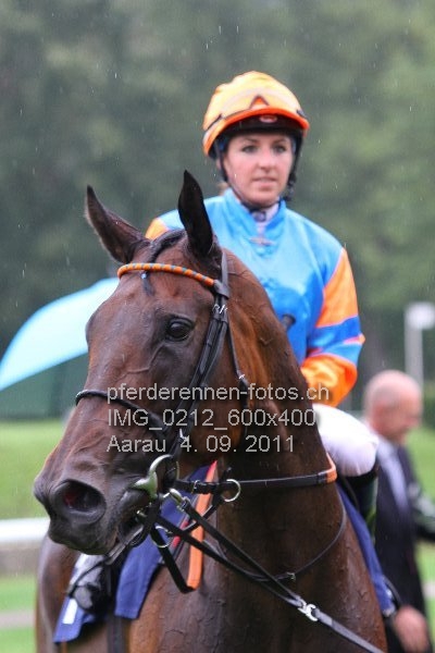 IMG 0212 600x400 prot
