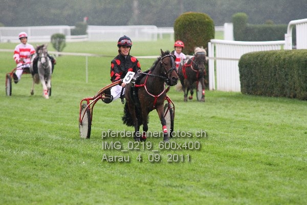 IMG 0219 600x400 prot