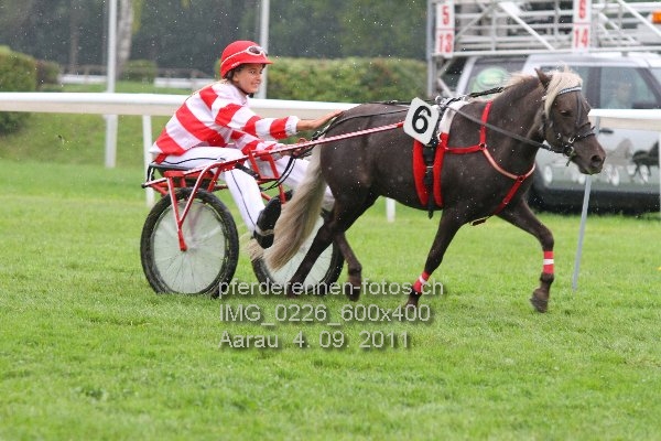 IMG 0226 600x400 prot
