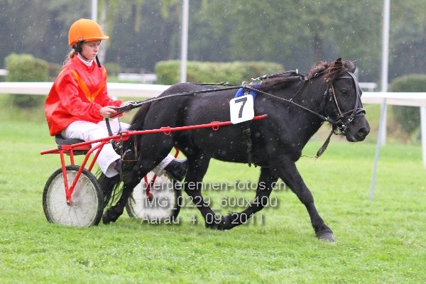 IMG 0229 600x400 prot