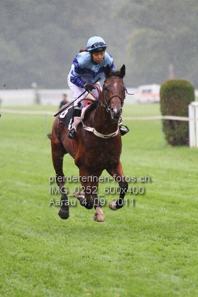 IMG 0252 600x400 prot