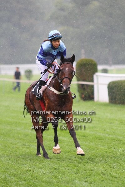 IMG 0253 600x400 prot