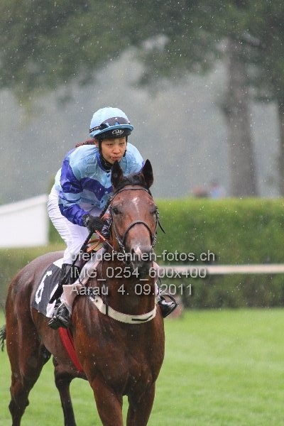 IMG 0254 600x400 prot