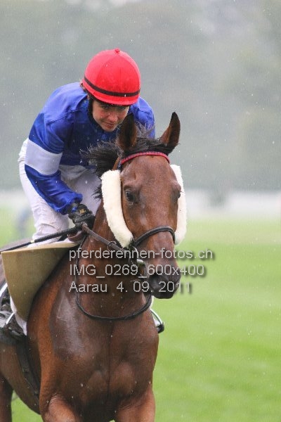 IMG 0269 600x400 prot