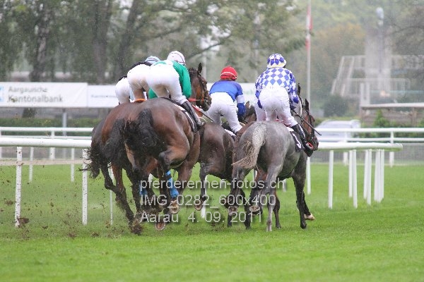 IMG 0282 600x400 prot