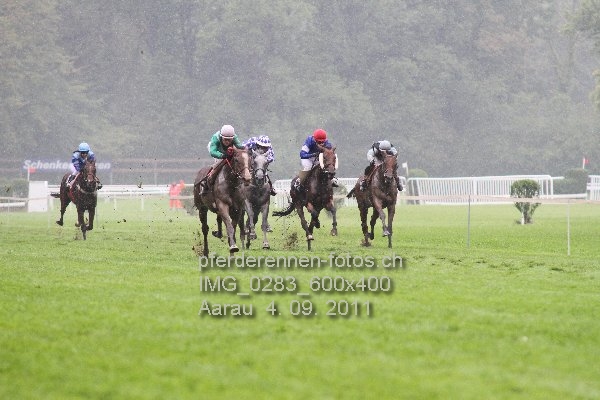 IMG 0283 600x400 prot