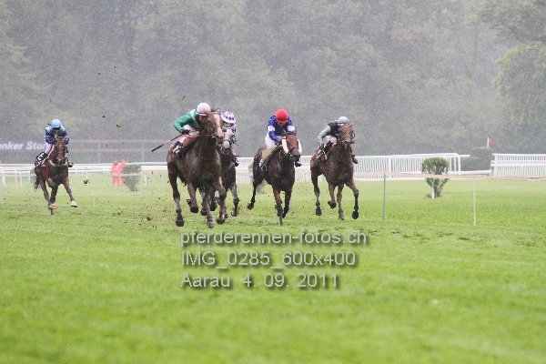 IMG 0285 600x400 prot