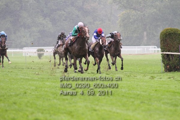 IMG 0290 600x400 prot
