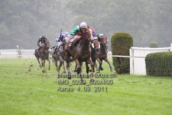 IMG 0293 600x400 prot